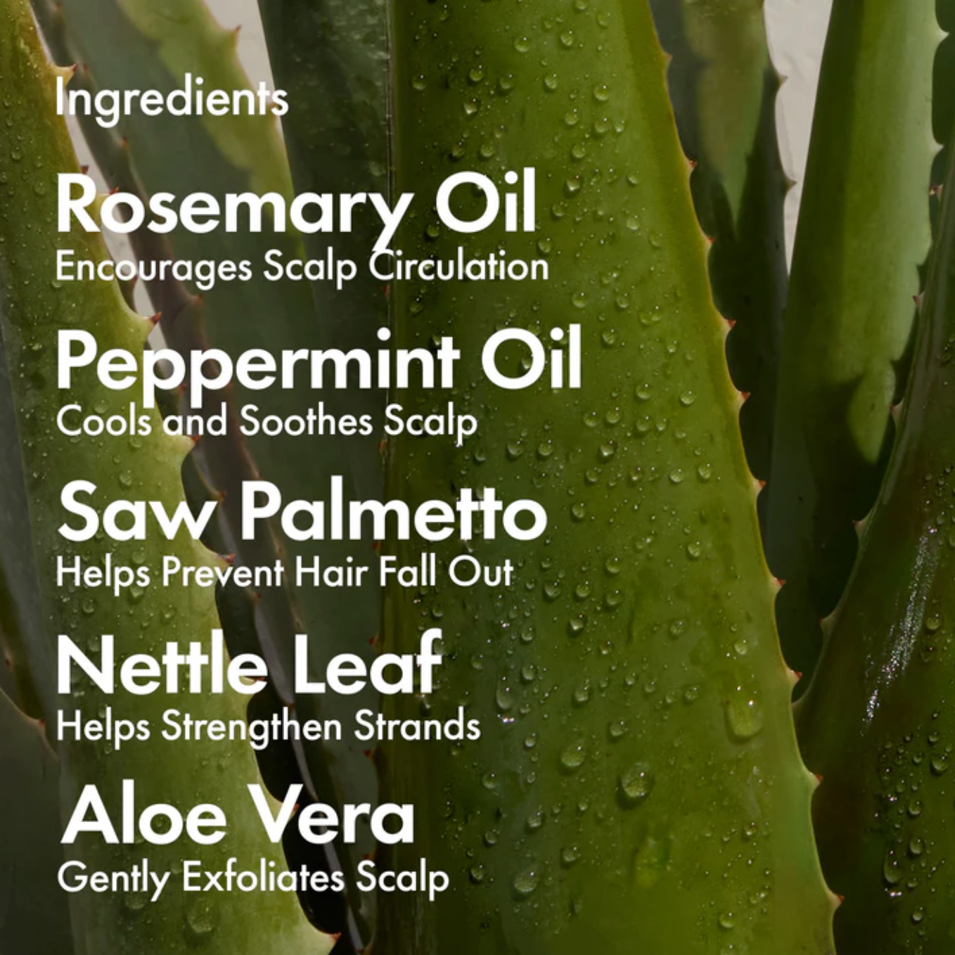 Hair Growth Conditioner
